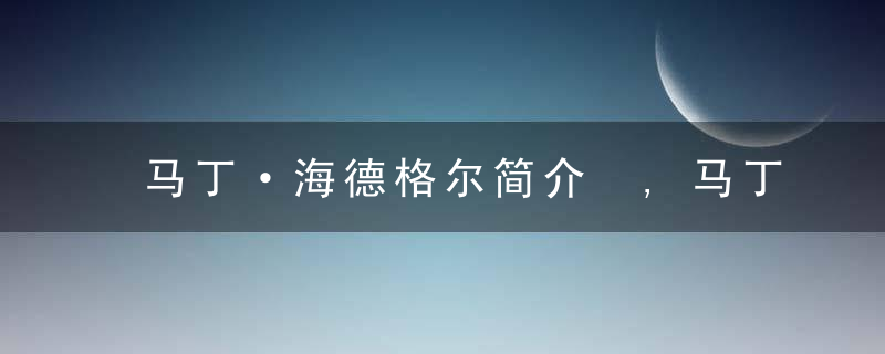 马丁·海德格尔简介 ,马丁海德格尔名言